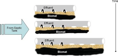 biomat formation schematic