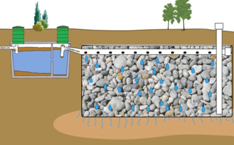 septic system depiction